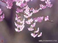 上海仟珈网络工作室