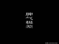 上海仟珈网络工作室