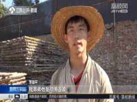 上海仟珈网络工作室