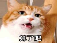 上海仟珈网络工作室