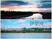 上海仟珈网络工作室