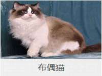 上海仟珈网络工作室