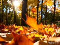 上海仟珈网络工作室