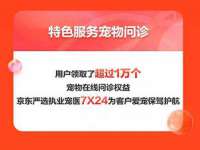 上海仟珈网络工作室