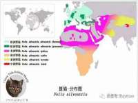 上海仟珈网络工作室