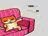 上海仟珈网络工作室