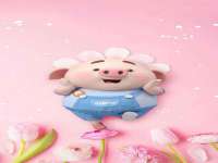 上海仟珈网络工作室