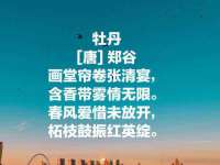 上海仟珈网络工作室