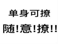 上海仟珈网络工作室