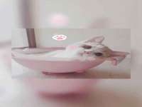 上海仟珈网络工作室