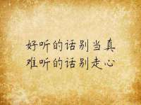 上海仟珈网络工作室