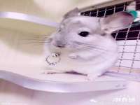 上海仟珈网络工作室