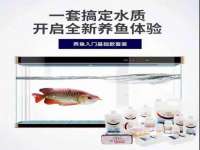 上海仟珈网络工作室