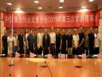 上海仟珈网络工作室