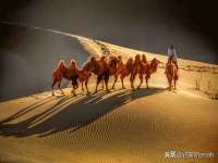 上海仟珈网络工作室