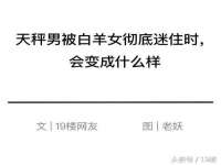 上海仟珈网络工作室